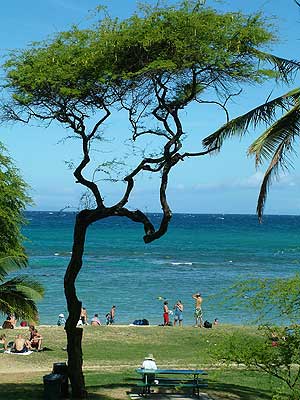 Hanauma Bay Beach Park