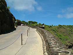 Walkway  to the beach.