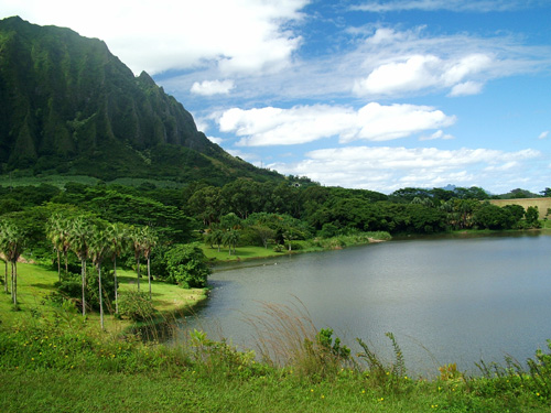 Hoomaluhia Gardens-Located on Oahu's windward side the park is a 400-arcre garden filled with tropical plants and trees.