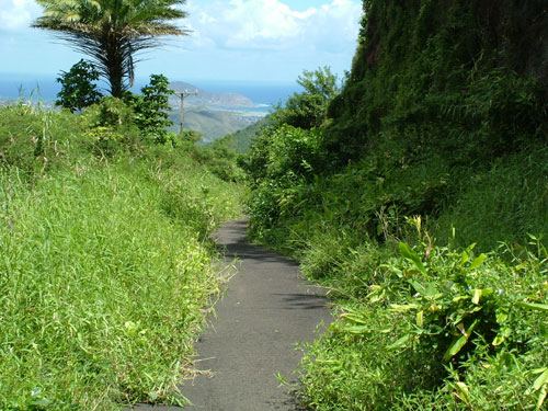 Section of the Old Pali Highway trail, Pali Lookout - Oahu, Hawaii